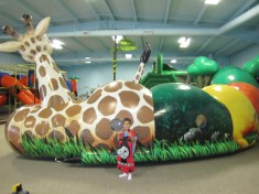 The Inflatable Giraffe